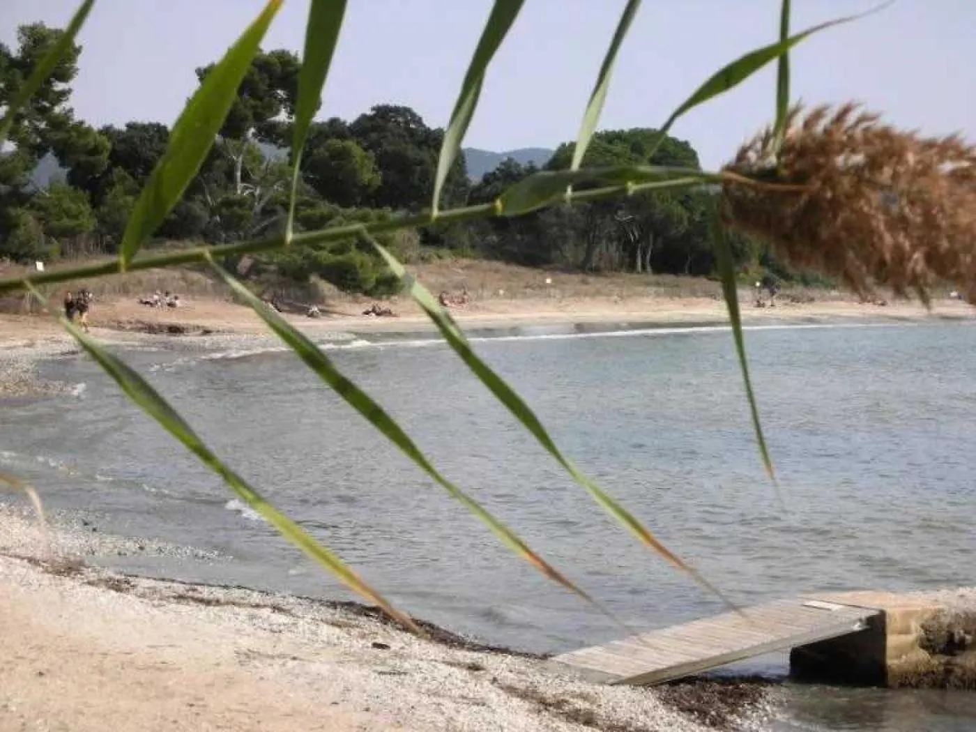 Camping 3 Etoiles - Piscine - Ccaffbe Bormes-les-Mimosas Francie